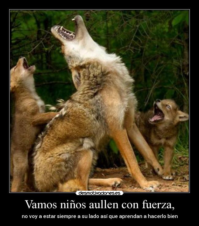 Vamos niños aullen con fuerza, - no voy a estar siempre a su lado así que aprendan a hacerlo bien