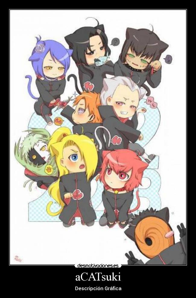 aCATsuki - Descripción Gráfica