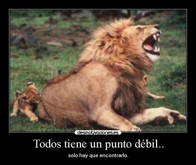 Todos tiene un punto débil.. - solo hay que encontrarlo.