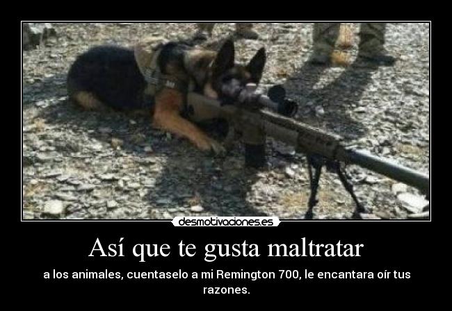 Así que te gusta maltratar -