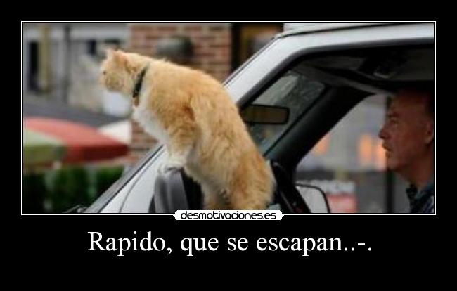 Rapido, que se escapan..-. - 