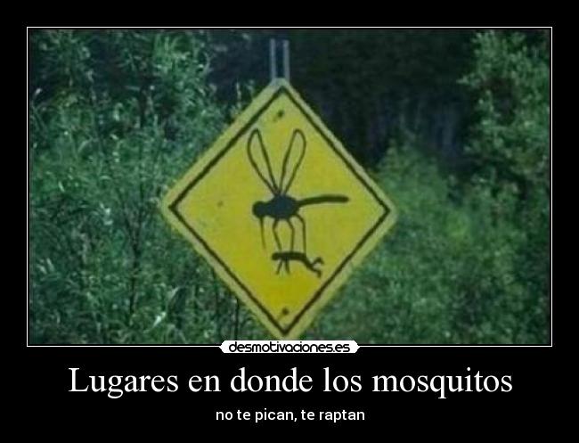 Lugares en donde los mosquitos - no te pican, te raptan