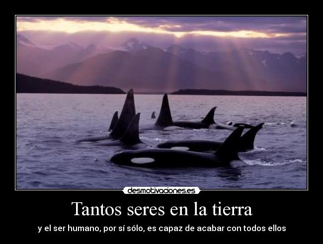 Tantos seres en la tierra -