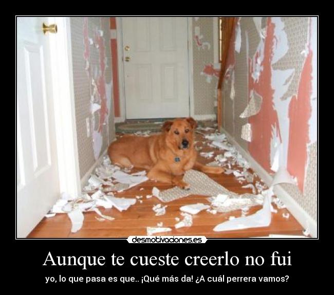 Aunque te cueste creerlo no fui -