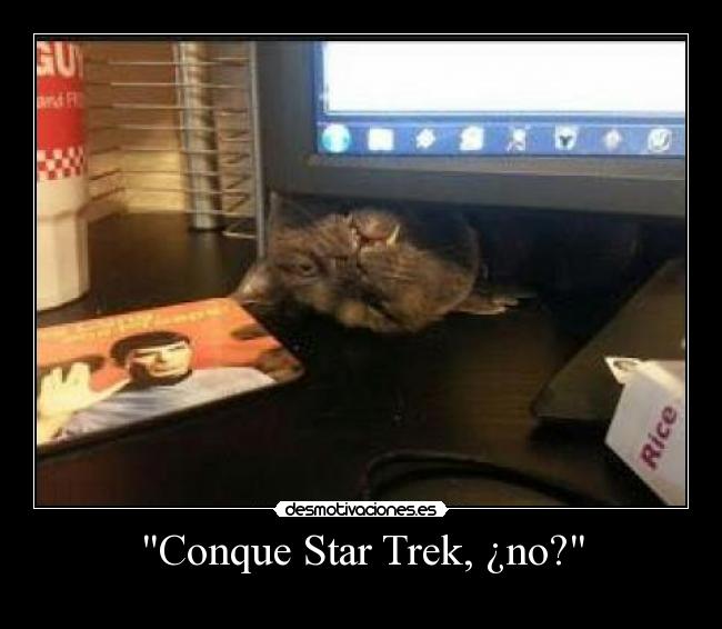 Conque Star Trek, ¿no? -