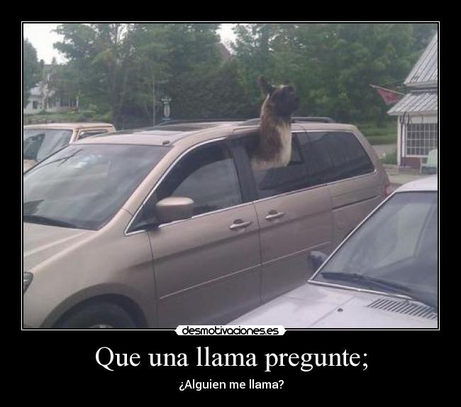 carteles desmofunny desmotivaciones