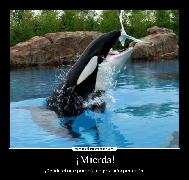¡Mierda! -