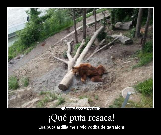 ¡Qué puta resaca! - 