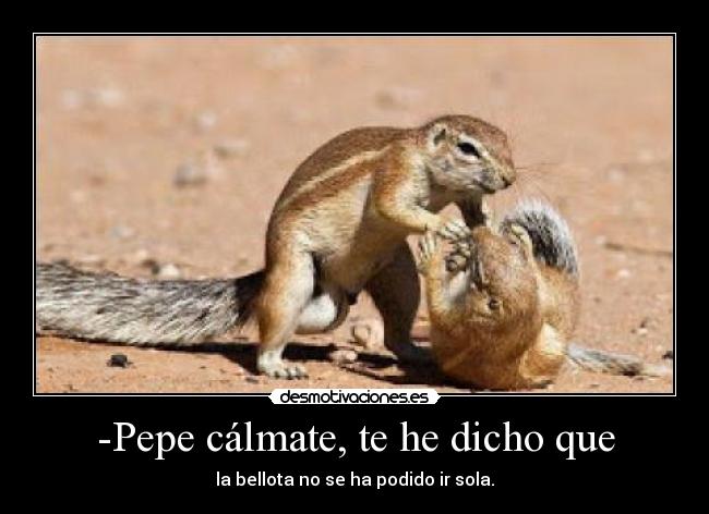 -Pepe cálmate, te he dicho que - la bellota no se ha podido ir sola.