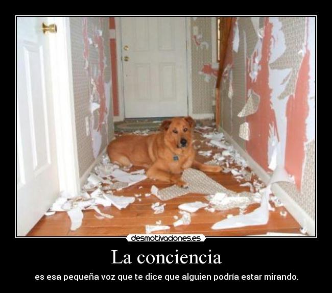 La conciencia - 