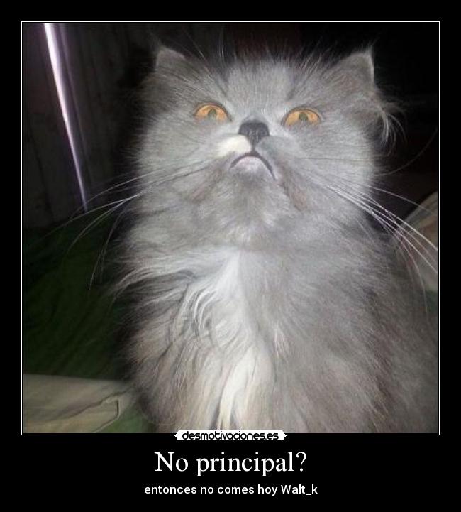 No principal? - entonces no comes hoy Walt_k