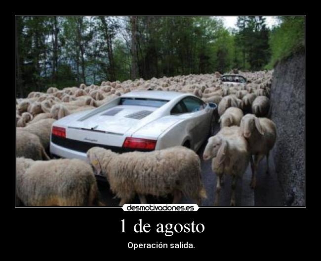 1 de agosto - Operación salida.