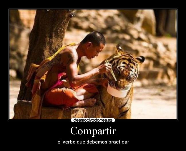 Compartir - 