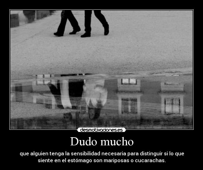 Dudo mucho - que alguien tenga la sensibilidad necesaria para distinguir si lo que
siente en el estómago son mariposas o cucarachas.