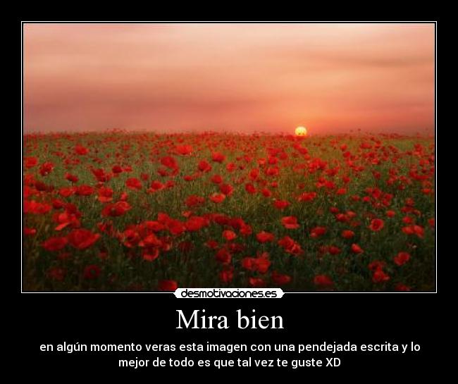 Mira bien - en algún momento veras esta imagen con una pendejada escrita y lo
mejor de todo es que tal vez te guste XD