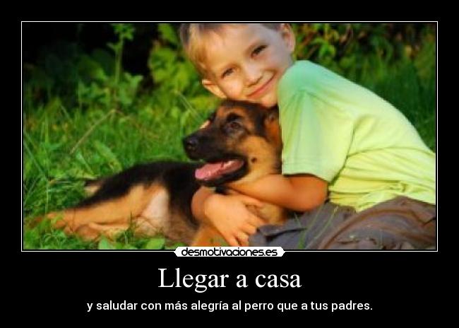 Llegar a casa - 