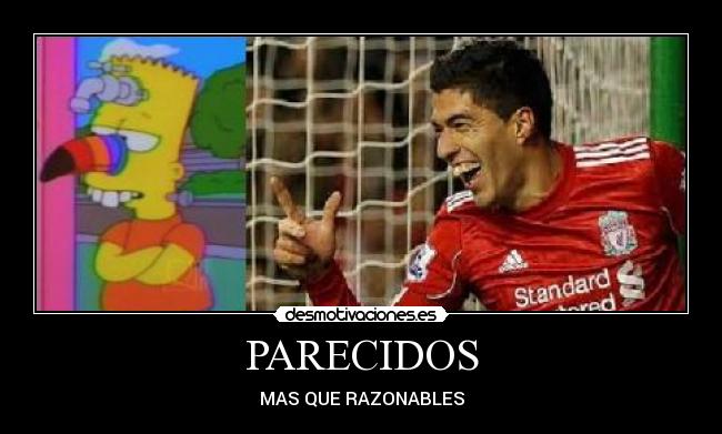 PARECIDOS - MAS QUE RAZONABLES