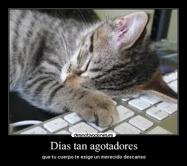 carteles agotadores dias desmotivaciones