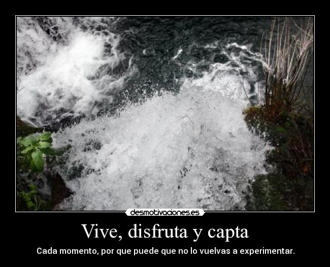 Vive, disfruta y capta - 