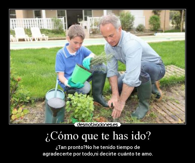 ¿Cómo que te has ido? -