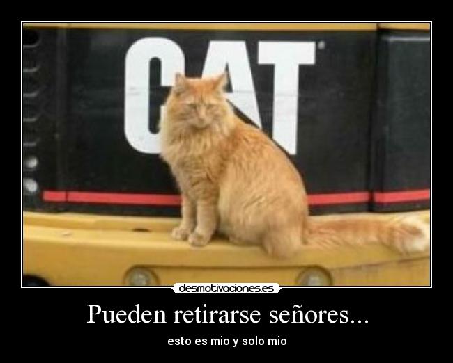 Pueden retirarse señores... -
