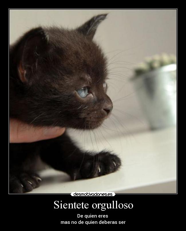 Sientete orgulloso - 