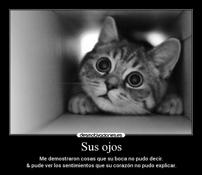 Sus ojos - Me demostraron cosas que su boca no pudo decir.
& pude ver los sentimientos que su corazón no pudo explicar.