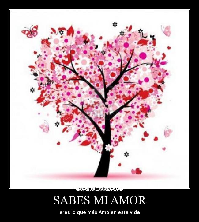 carteles amor amor desmotivaciones