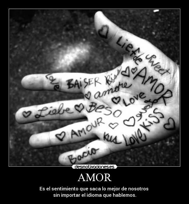 AMOR -