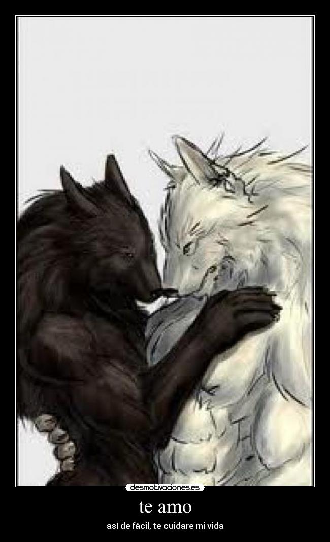 carteles amor desmotivaciones