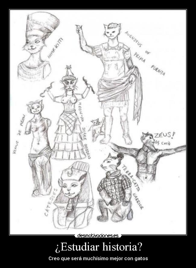 ¿Estudiar historia? - Creo que será muchísimo mejor con gatos