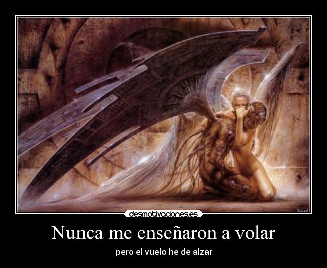 Nunca me enseñaron a volar - 