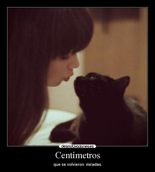 carteles ladysonrisa gatita sonrisas desmotivaciones