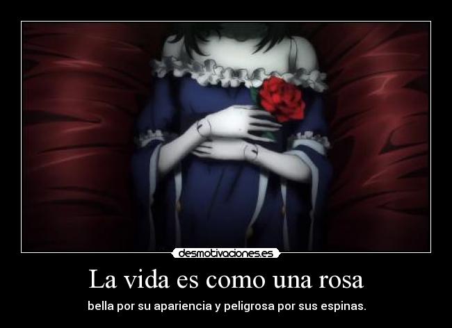 carteles vida fede28 anime another dolls desmotivaciones