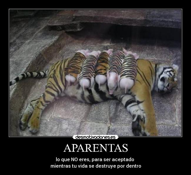 APARENTAS - lo que NO eres, para ser aceptado 
mientras tu vida se destruye por dentro