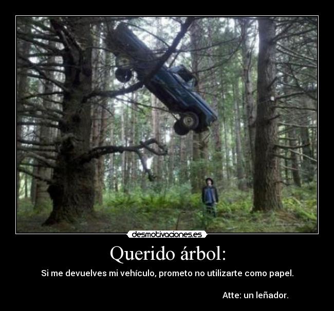 Querido árbol: -