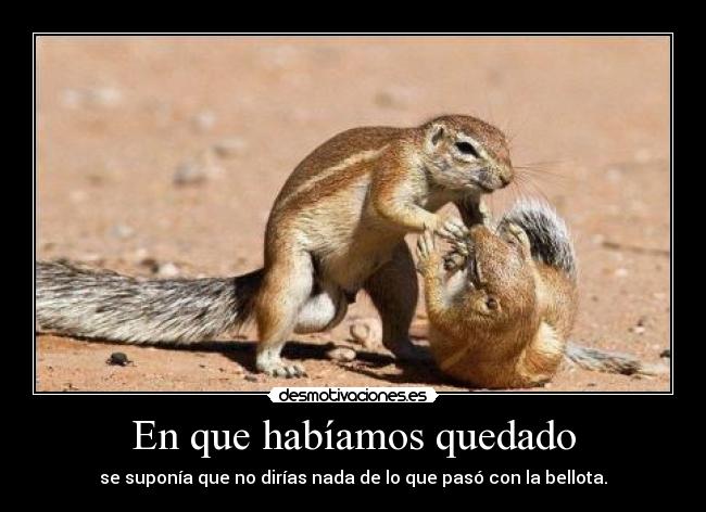 En que habíamos quedado - se suponía que no dirías nada de lo que pasó con la bellota.