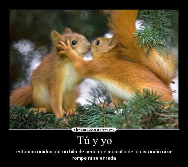 carteles jcks desmotivaciones