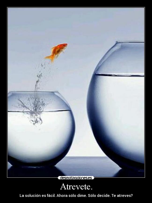 Atrevete. - La solución es fácil. Ahora sólo dime. Sólo decide. Te atreves?