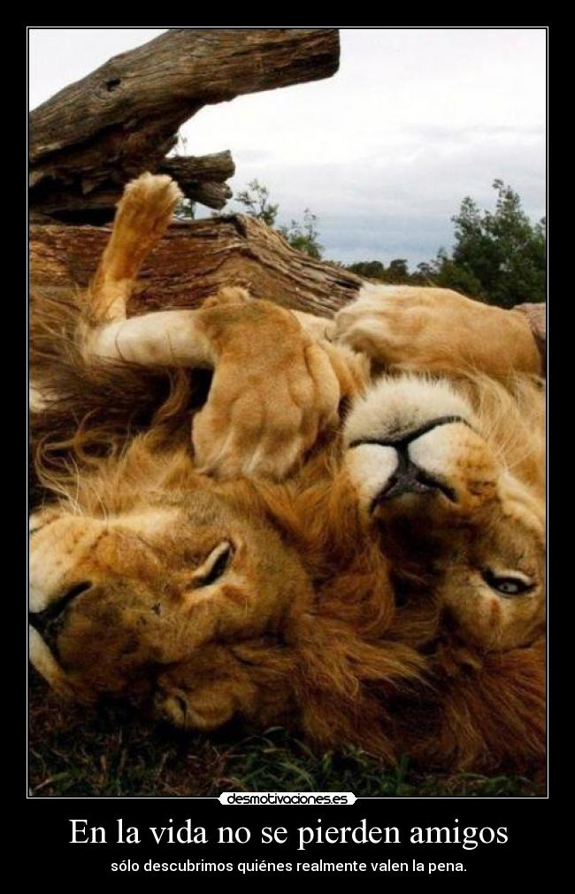 En la vida no se pierden amigos - sólo descubrimos quiénes realmente valen la pena.