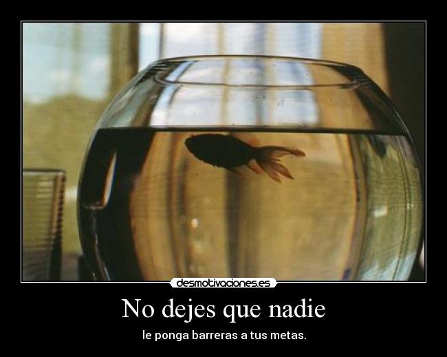 No dejes que nadie - 