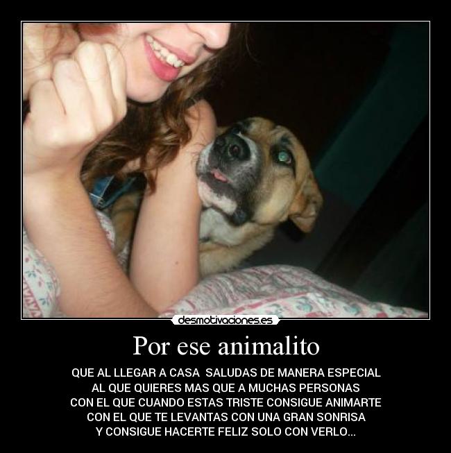 Por ese animalito - QUE AL LLEGAR A CASA SALUDAS DE MANERA ESPECIAL
AL QUE QUIERES MAS QUE A MUCHAS PERSONAS
CON EL QUE CUANDO ESTAS TRISTE CONSIGUE ANIMARTE
CON EL QUE TE LEVANTAS CON UNA GRAN SONRISA
Y CONSIGUE HACERTE FELIZ SOLO CON VERLO...