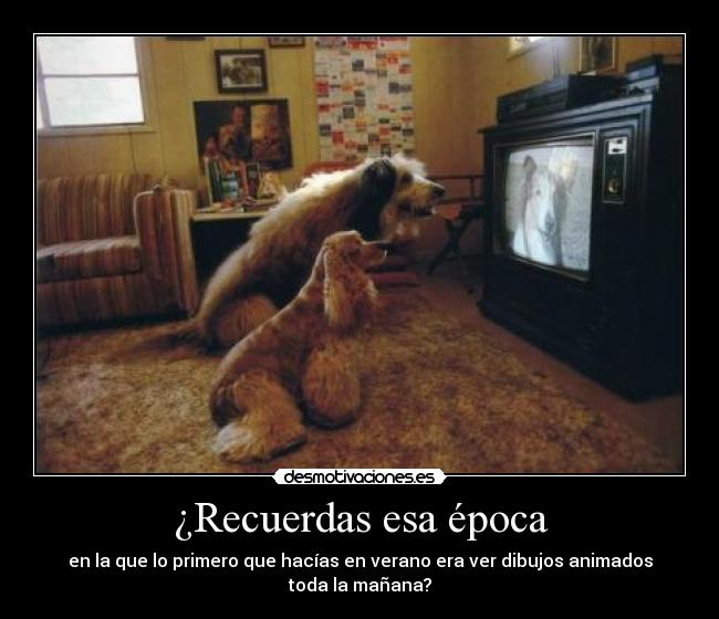 carteles greg house desmotivaciones