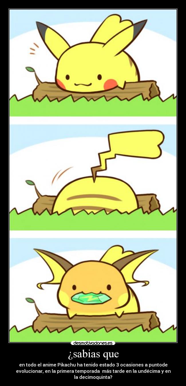 ¿sabias que - en todo el anime Pikachu ha tenido estado 3 ocasiones a puntode
evolucionar, en la primera temporada más tarde en la undécima y en
la decimoquinta?