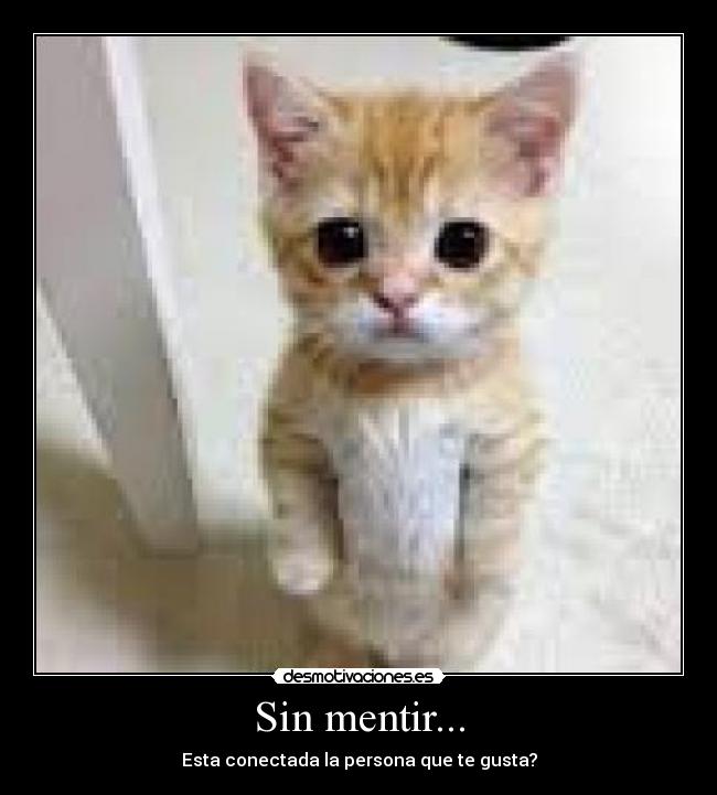 Sin mentir... - Esta conectada la persona que te gusta?