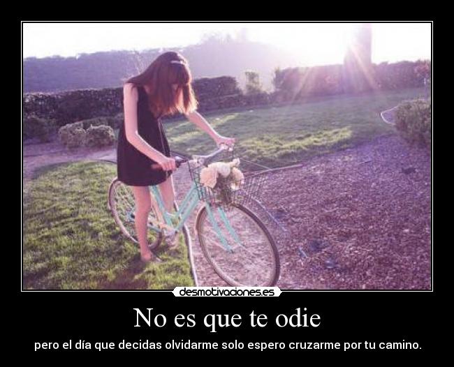 No es que te odie - pero el día que decidas olvidarme solo espero cruzarme por tu camino.