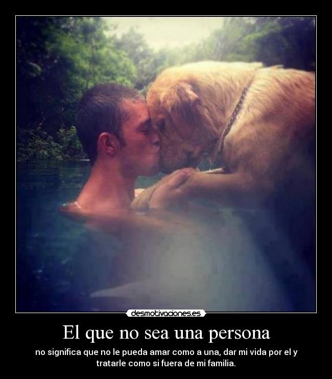 El que no sea una persona - no significa que no le pueda amar como a una, dar mi vida por el y
tratarle como si fuera de mi familia.