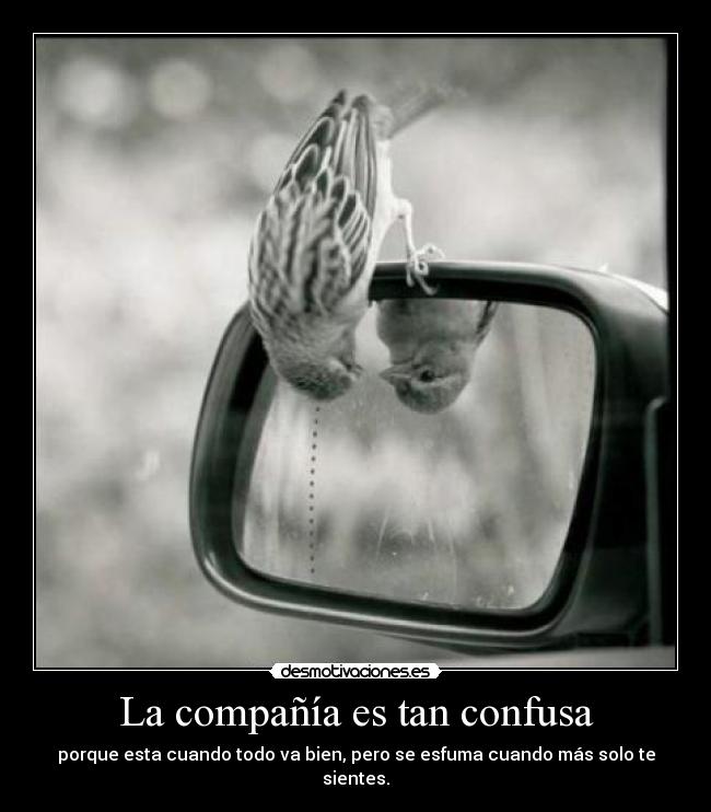 La compañía es tan confusa - 