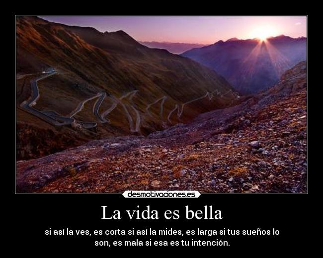 carteles vida vida desmotivaciones