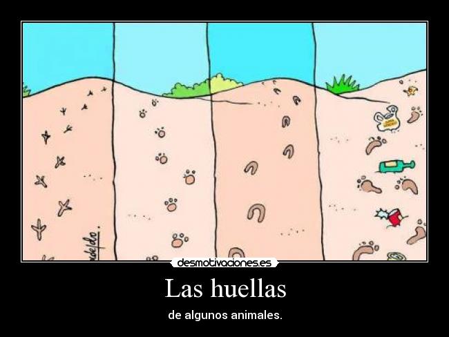 Las huellas - 